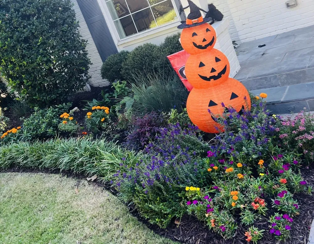 Custom yard cleanup service in Dallas, TX by Terra Verde Landscaping Plus Design