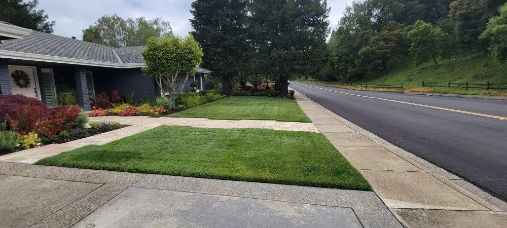 Top-rated outdoor landscaping with custom design across Turlock, CA - Terra Verde Lawn Care Services