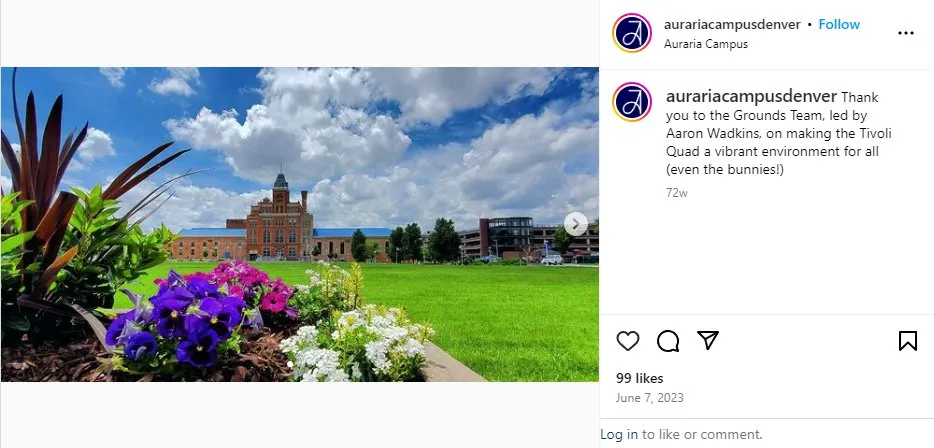 Local yard maintenance experts serving Littleton, CO - Terra Zen