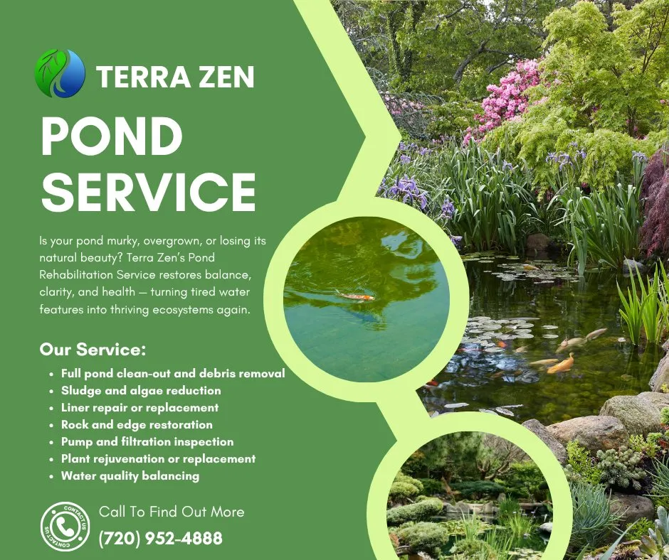 Affordable yard cleanup service near you in Littleton, CO by Terra Zen
