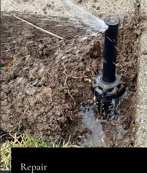 Trusted lawn mowing service in Richmond, CA by Terracali Landworks