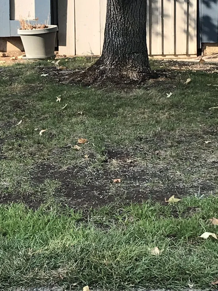 Custom landscape design for residential properties in Martinez, CA by Terracare Associates