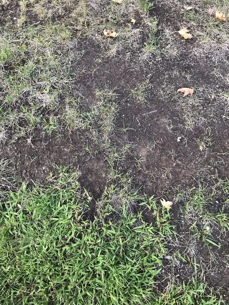 Reliable outdoor landscaping in Martinez, CA by Terracare Associates