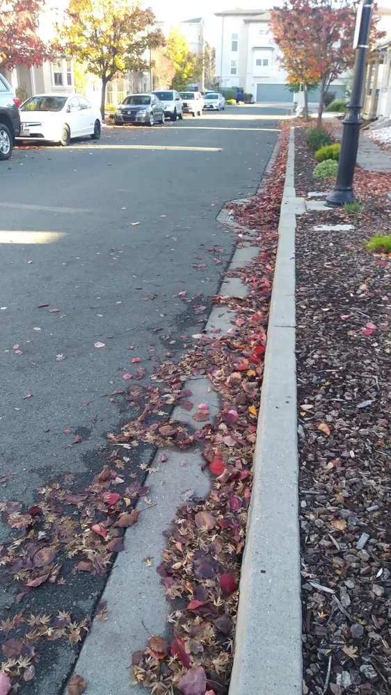 Trusted lawn care service in Martinez, CA - Terracare Associates