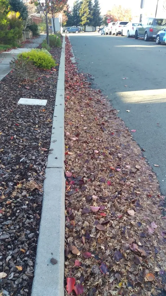 Top-rated landscape installation for homes in Martinez, CA by Terracare Associates