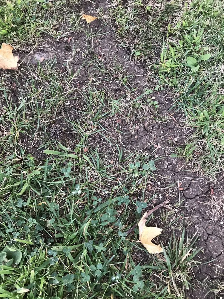 Custom landscape design for residential properties across Martinez, CA - Terracare Associates