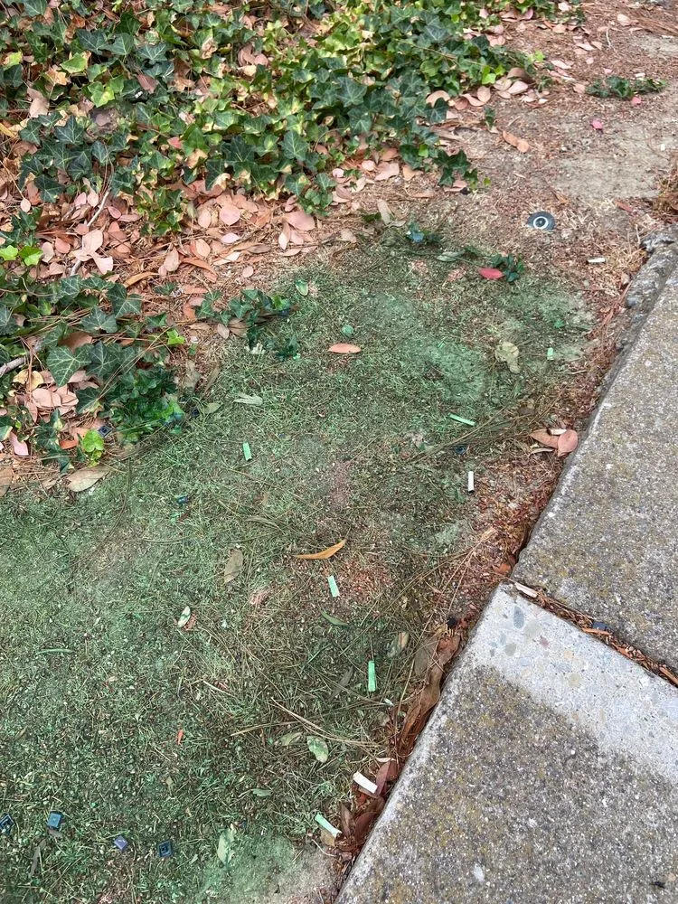 Local lawn mowing service in Martinez, CA by Terracare Associates