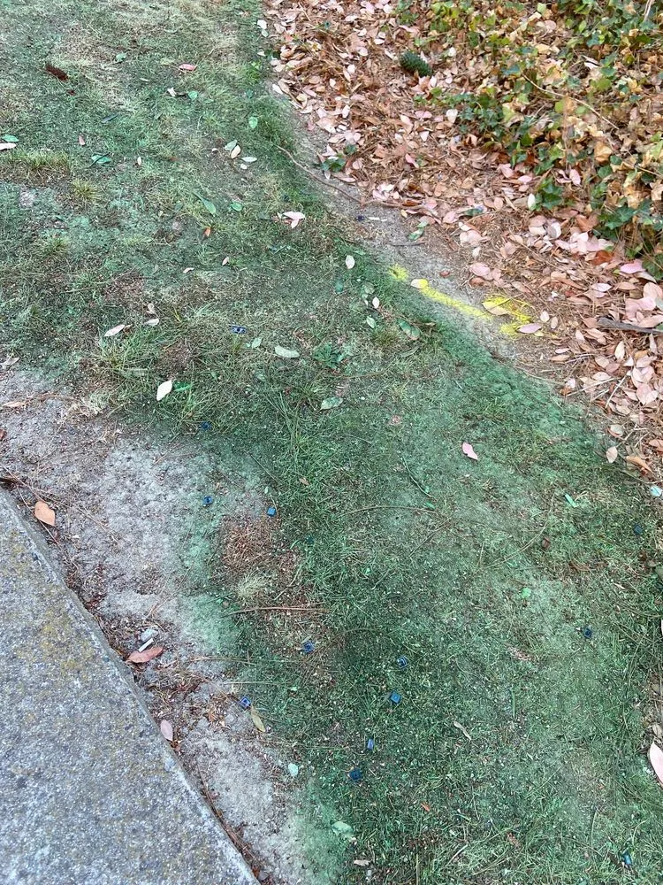 Top-rated garden landscaping in Martinez, CA - Terracare Associates