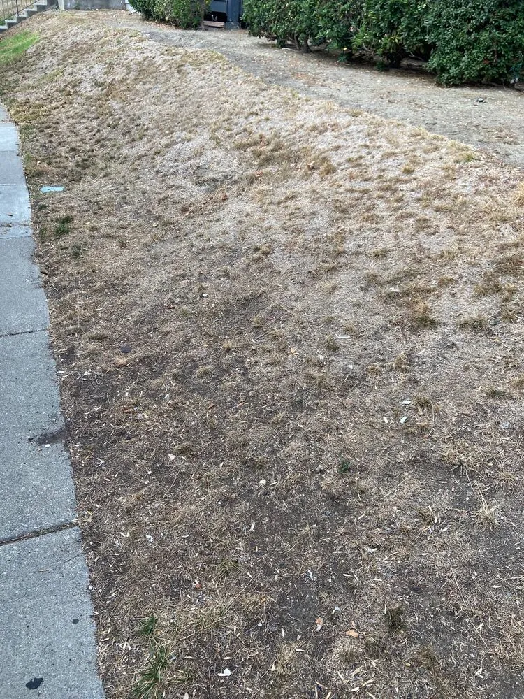 Custom garden landscaping experts serving Martinez, CA - Terracare Associates