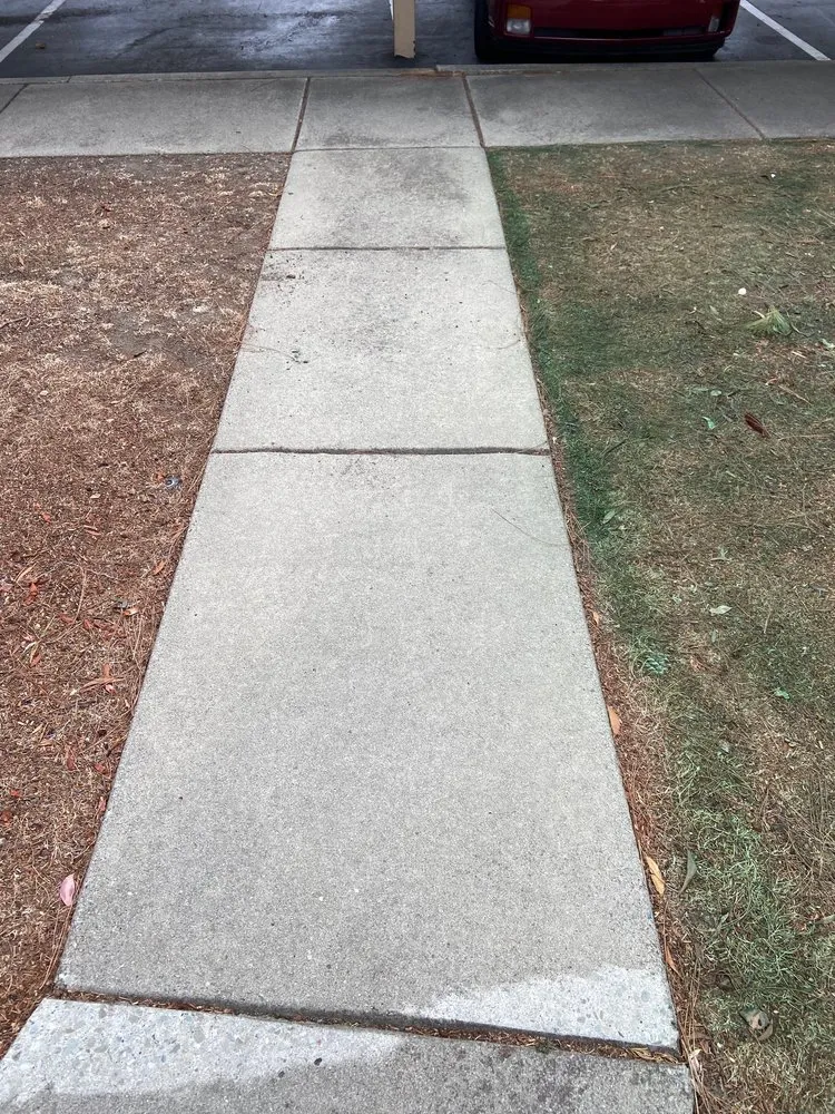 Reliable landscape design with custom design in Martinez, CA by Terracare Associates