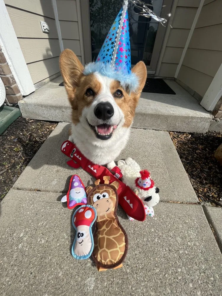 Top-rated yard maintenance for year-round maintenance across Fishers, IN - TerraCare