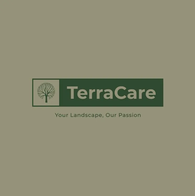 Custom outdoor landscaping in Fishers, IN - TerraCare
