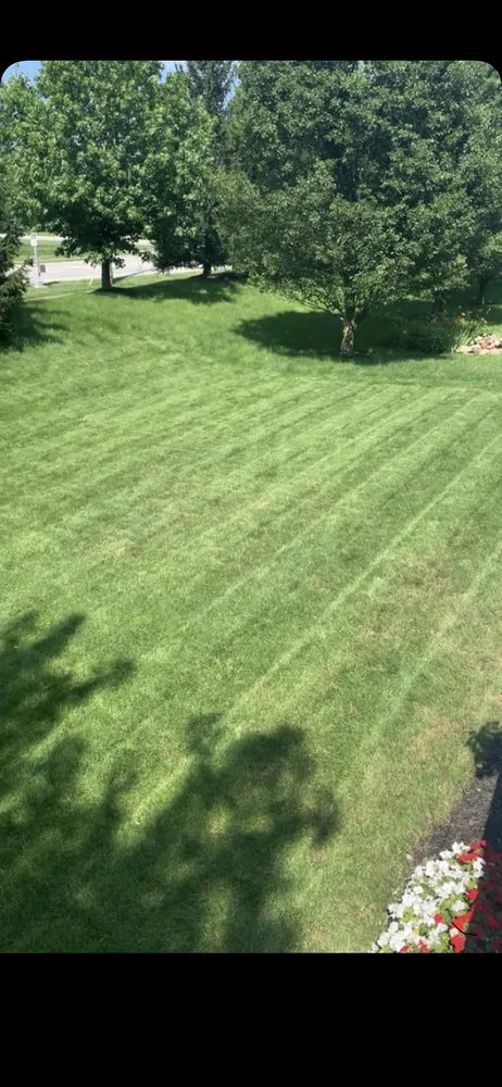 Reliable yard cleanup service in Fishers, IN by TerraCare