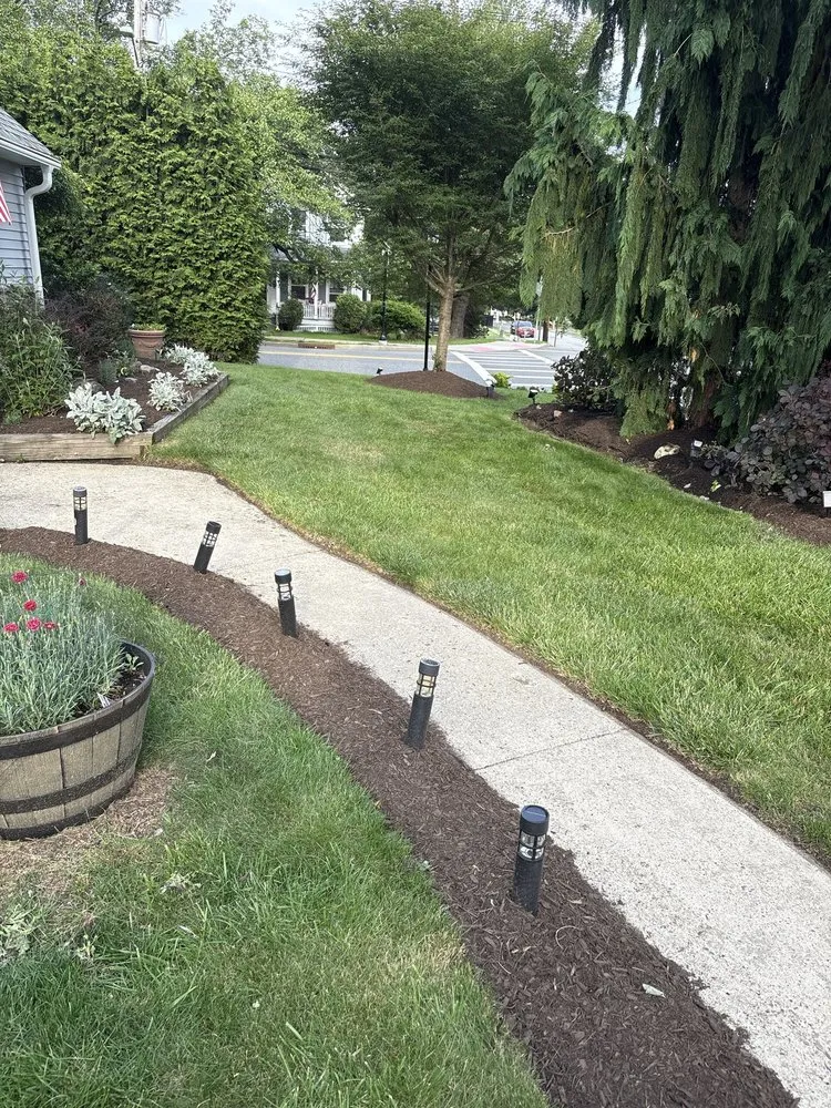 Top-rated yard cleanup service experts serving Oakland, NJ - Terracare Landscaping