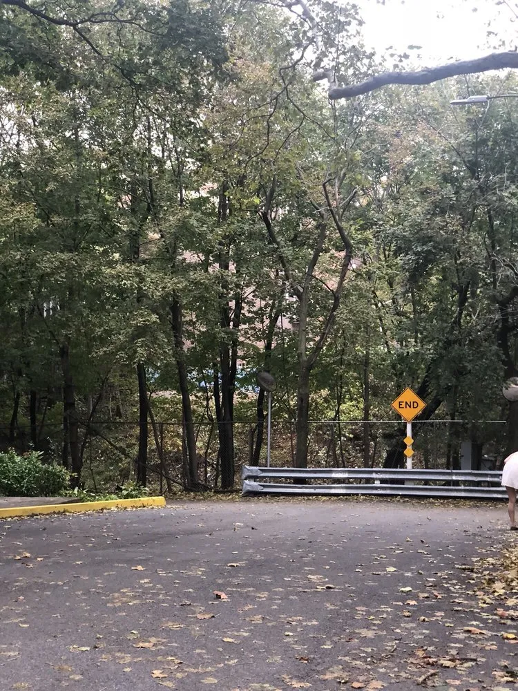 Expert residential landscaping in Brooklyn, NY by Terrace Gardens Plaza