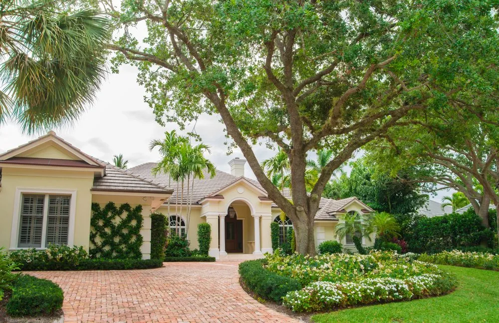 Expert yard cleanup service experts serving Jupiter, FL - Terracon Services