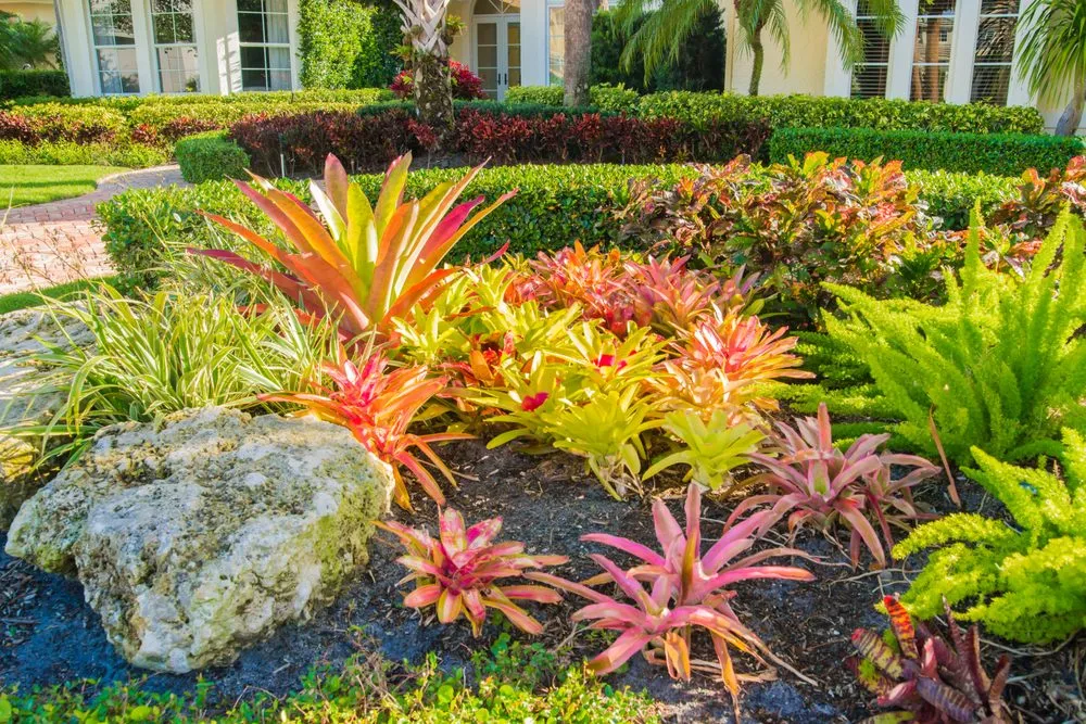 Trusted yard cleanup service experts serving Jupiter, FL - Terracon Services