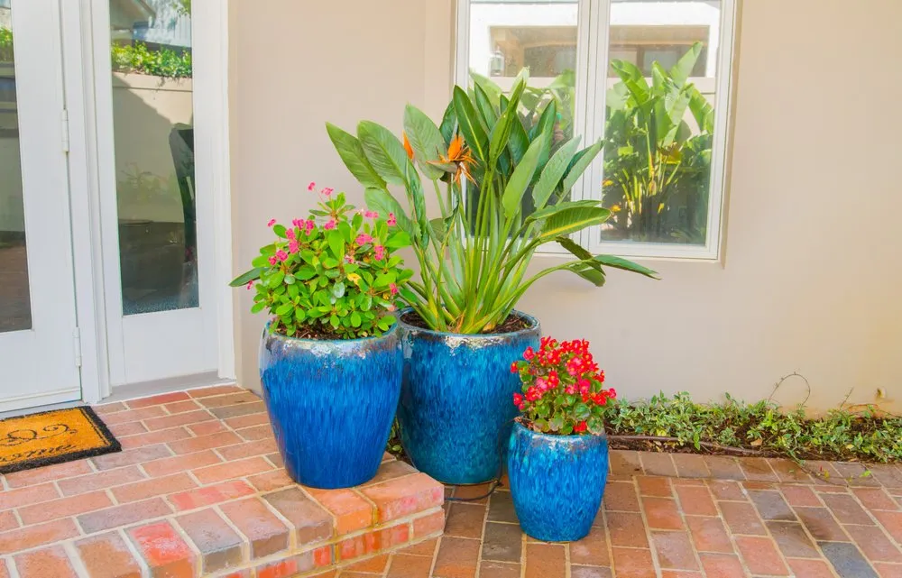 Top-rated yard cleanup service near you in Jupiter, FL by Terracon Services