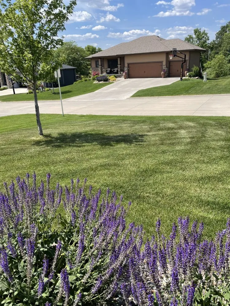 Affordable yard cleanup service with custom design across Ankeny, IA - Terradyne Lawn Service