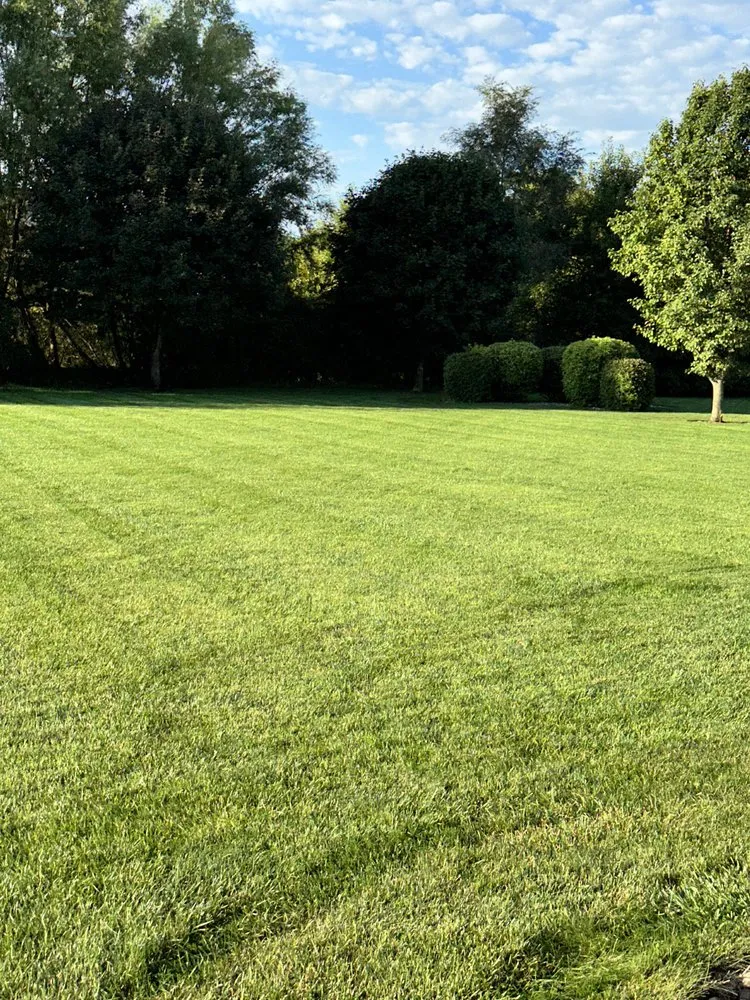Local lawn mowing service in Ankeny, IA by Terradyne Lawn Service