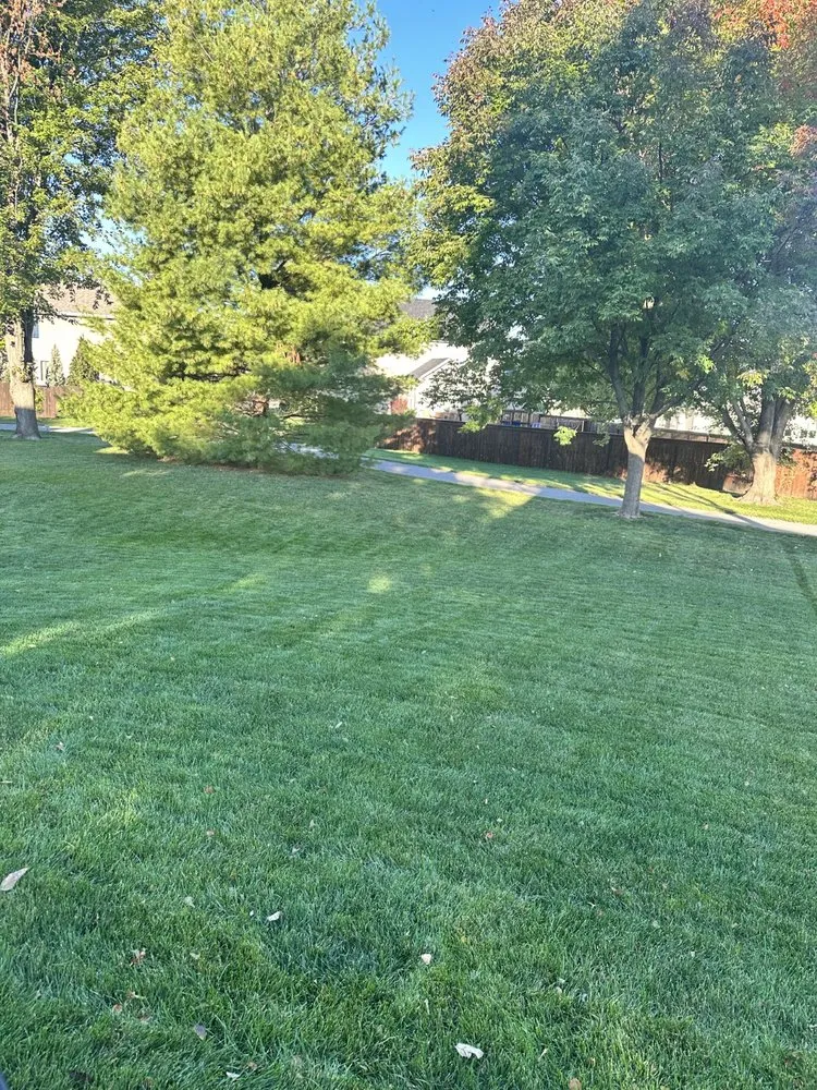 Top-rated landscape installation experts serving Ankeny, IA - Terradyne Lawn Service