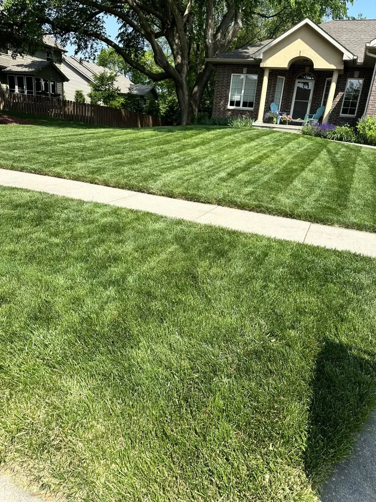 Professional yard cleanup service experts serving Ankeny, IA - Terradyne Lawn Service