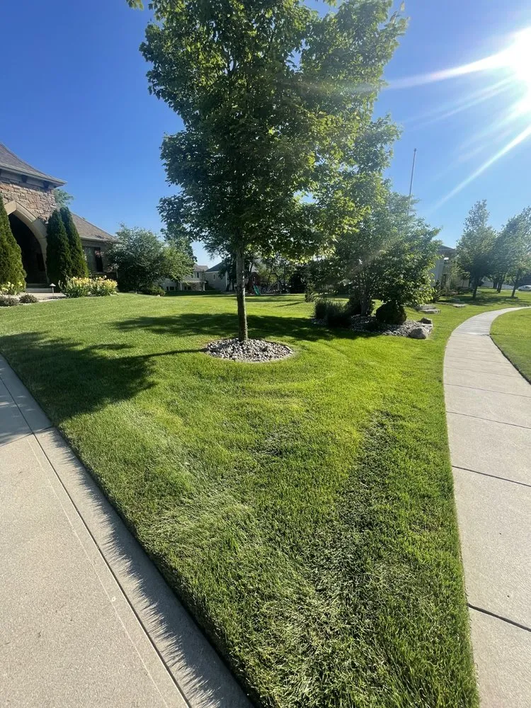 Trusted lawn care service in Ankeny, IA by Terradyne Lawn Service