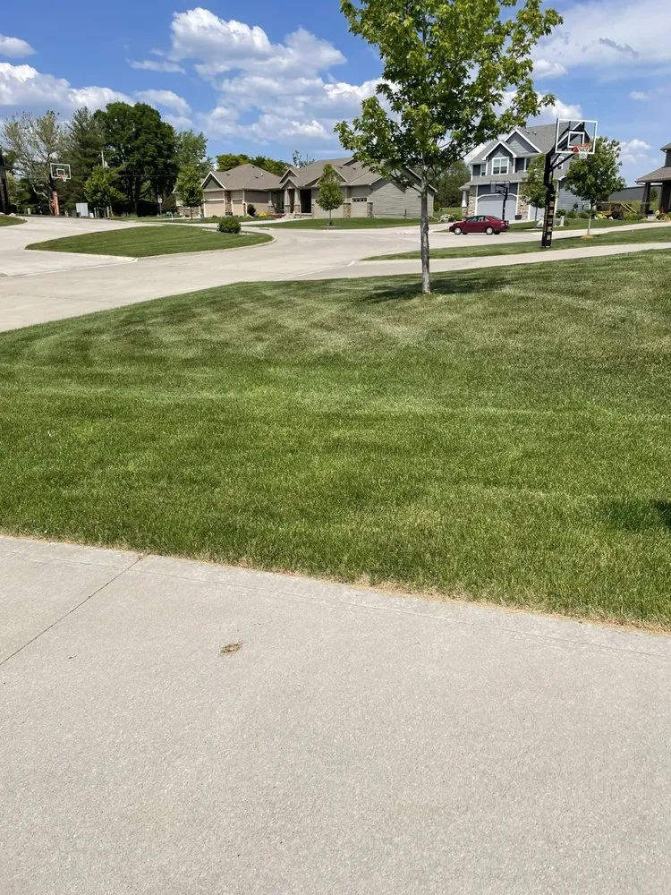 Professional landscape installation experts serving Ankeny, IA - Terradyne Lawn Service