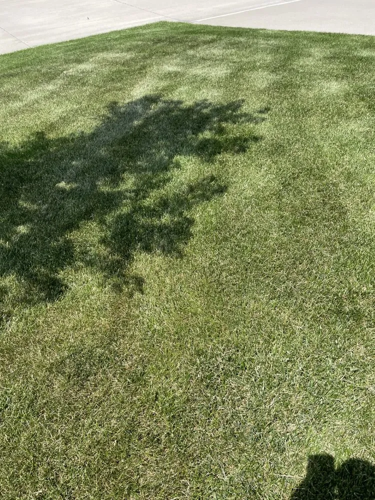 Trusted lawn care service experts serving Ankeny, IA - Terradyne Lawn Service