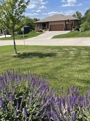 Terradyne Lawn Service