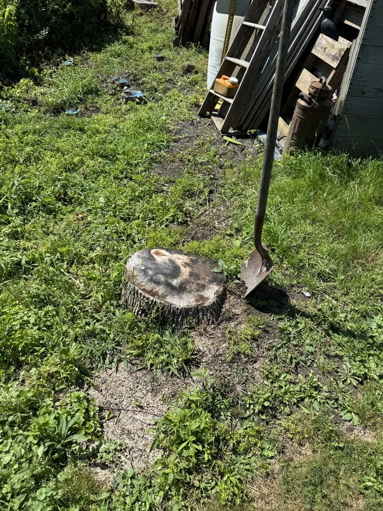 Professional landscape design near you in Canastota, NY by Terrafirma Landscaping and Tractor Service