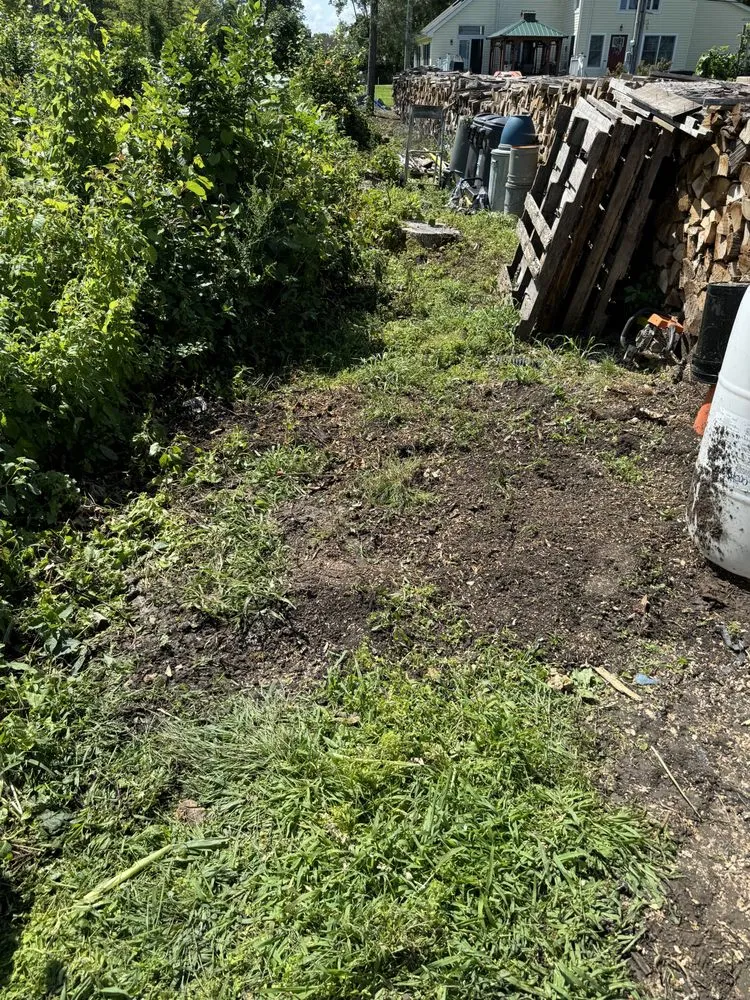 Expert lawn care service near you across Canastota, NY - Terrafirma Landscaping and Tractor Service