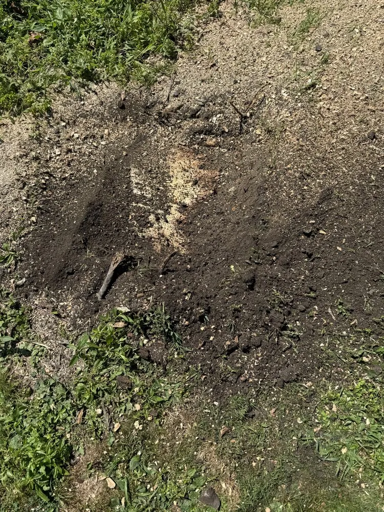 Custom lawn mowing service in Canastota, NY by Terrafirma Landscaping and Tractor Service