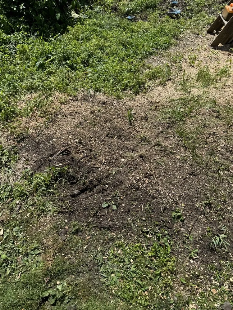 Professional yard maintenance experts serving Canastota, NY - Terrafirma Landscaping and Tractor Service