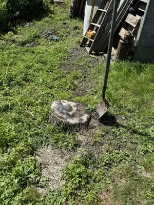 Terrafirma Landscaping and Tractor Service