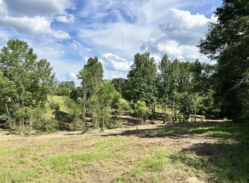 Reliable garden landscaping in Collins, MS - Terraform