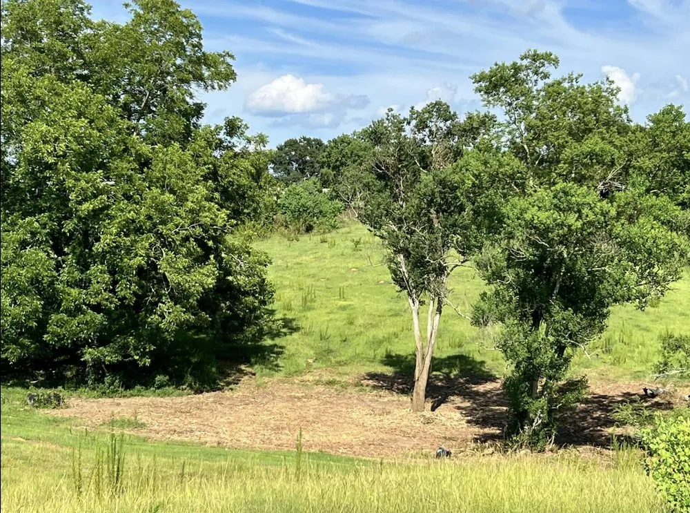 Affordable yard maintenance in Collins, MS - Terraform