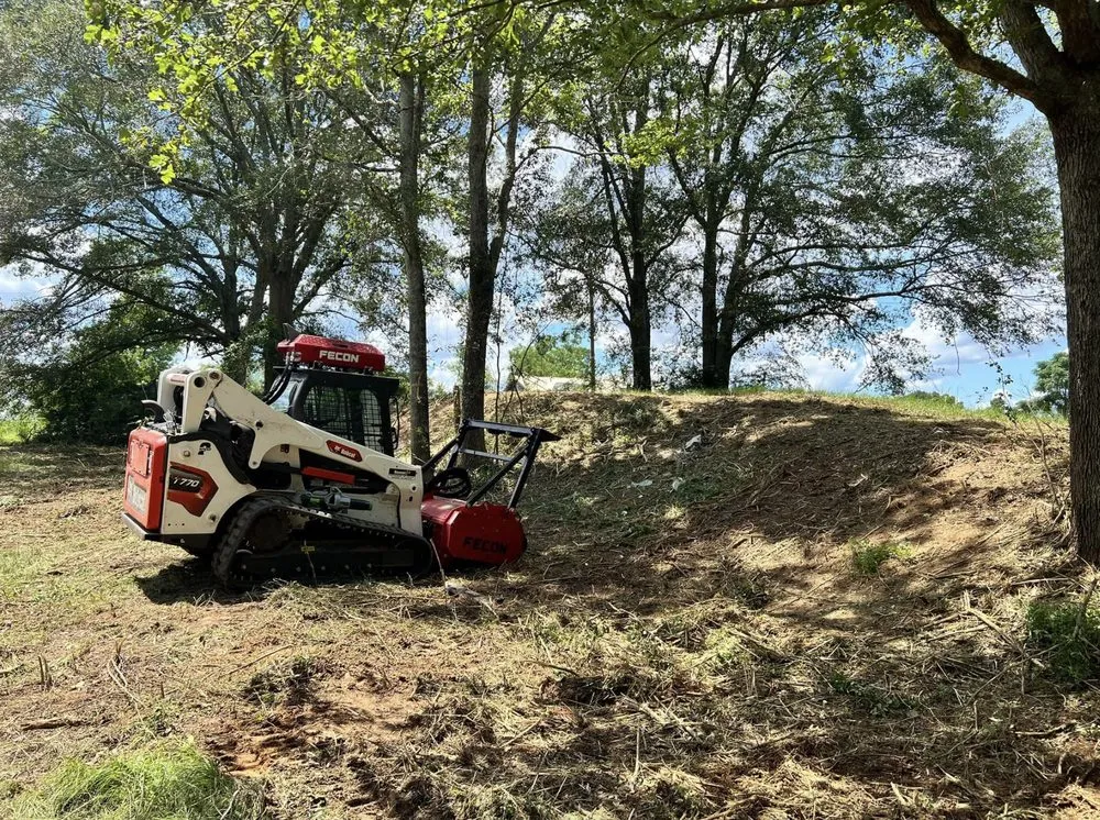 Local yard cleanup service for outdoor upgrades in Collins, MS by Terraform