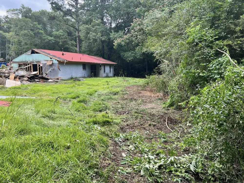 Affordable landscape installation for year-round maintenance in Collins, MS by Terraform