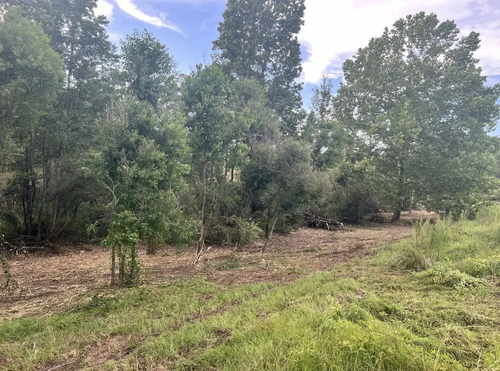 Top-rated landscape design experts serving Collins, MS - Terraform