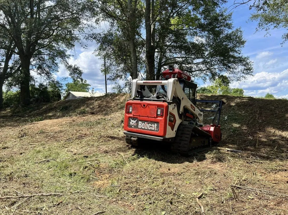 Local landscaping services for outdoor upgrades across Collins, MS - Terraform