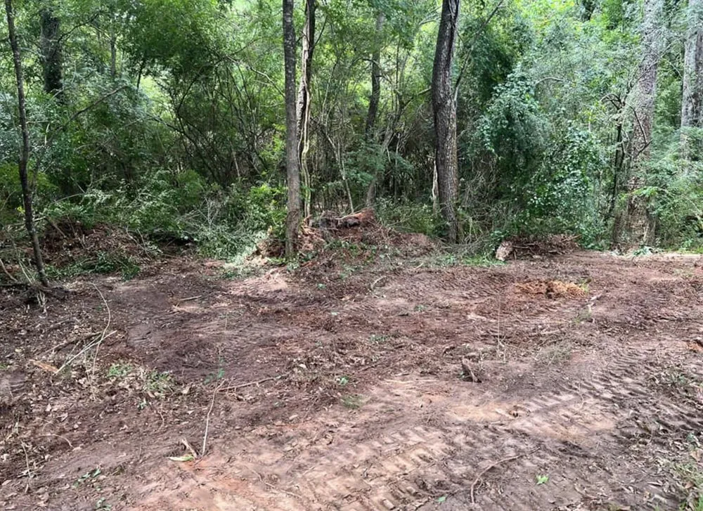 Custom lawn care service with custom design in Collins, MS by Terraform