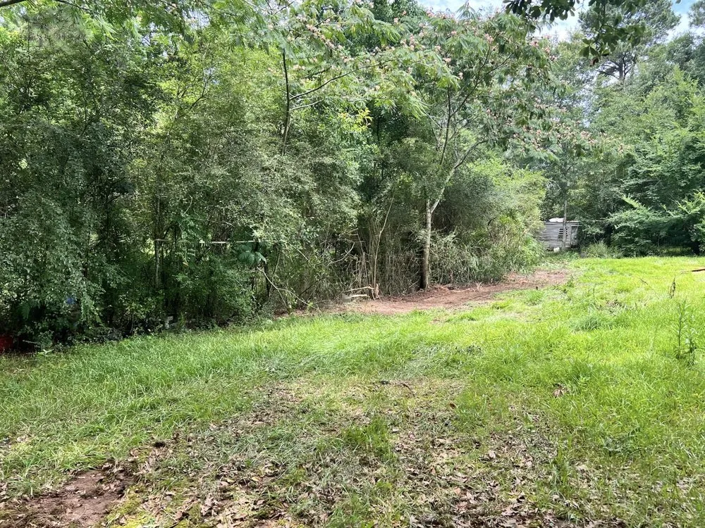 Affordable lawn mowing service in Collins, MS - Terraform