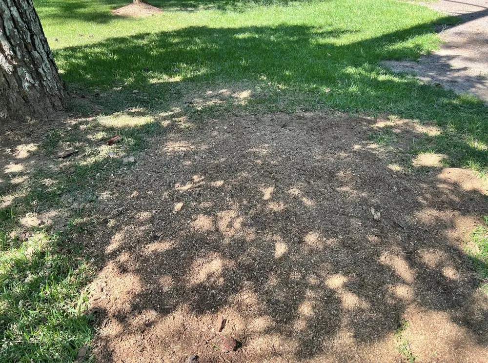 Custom landscape design for outdoor upgrades across Collins, MS - Terraform