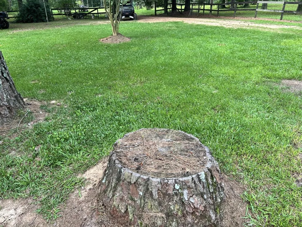 Trusted outdoor landscaping experts serving Collins, MS - Terraform