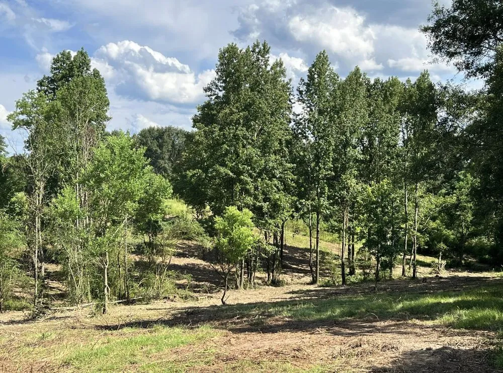 Local lawn mowing service in Collins, MS - Terraform