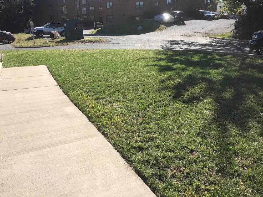 Professional landscaping services experts serving Waldorf, MD - Terraform My Yard