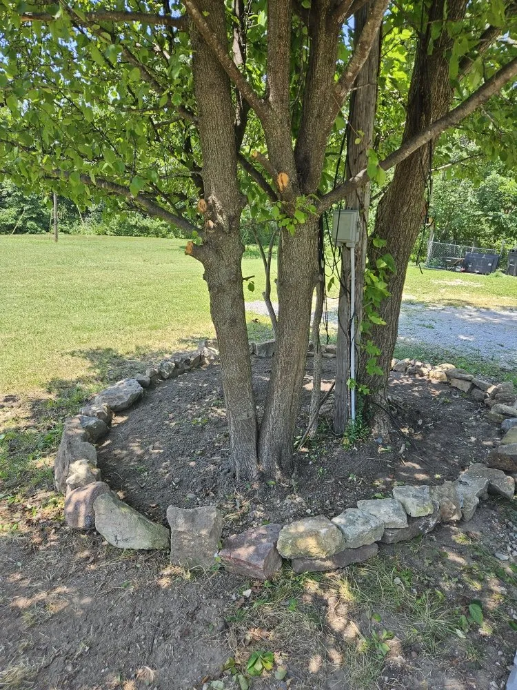 Top-rated landscaping services in Columbia, MO - Terraformed Homes