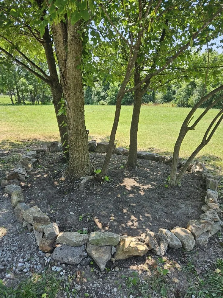 Top-rated landscape installation with custom design in Columbia, MO by Terraformed Homes