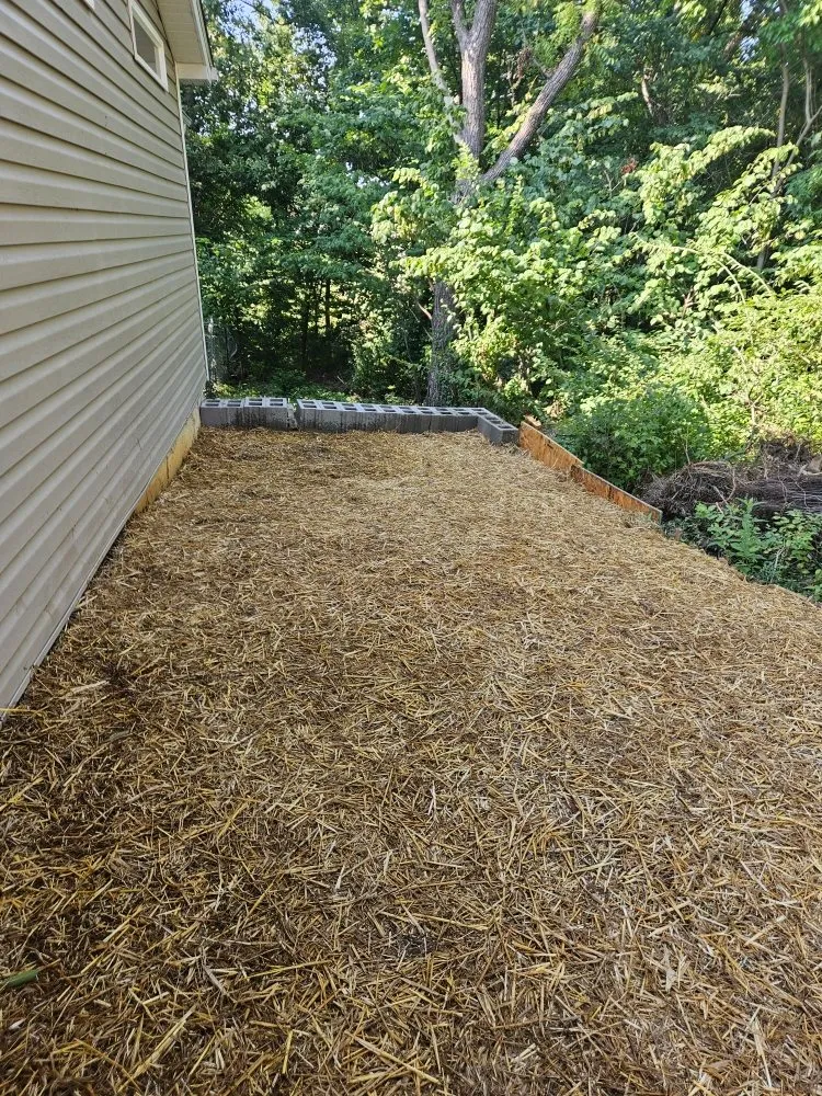 Trusted yard maintenance in Columbia, MO by Terraformed Homes